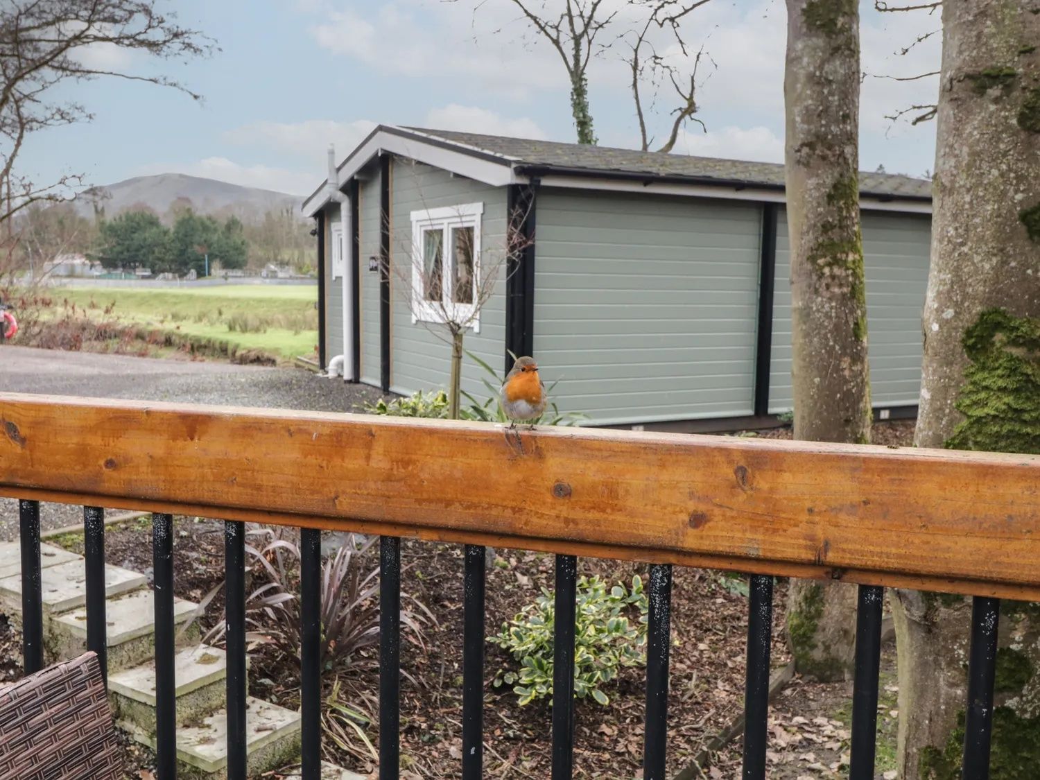 Robin perched on lodge in Kintala Resort